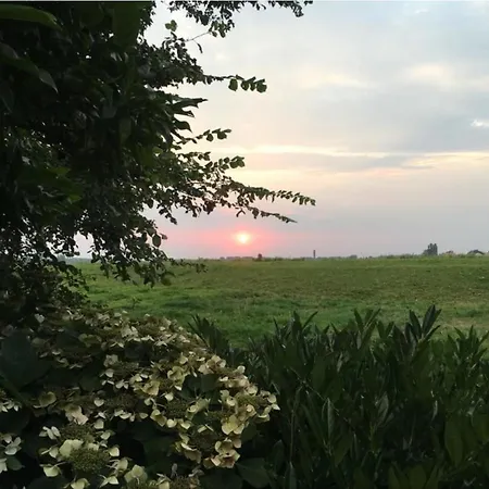 House 19 Relax בית נופש