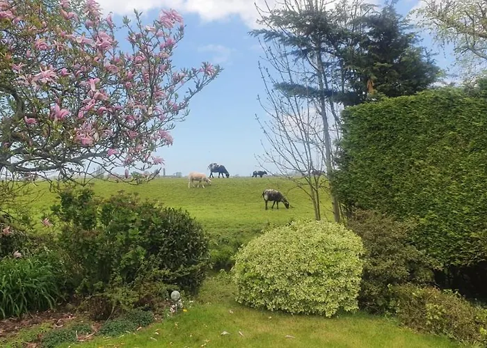 House 19 Relax בית נופש Warmond