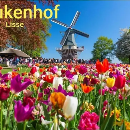 Semesterbostad House 19 Relax