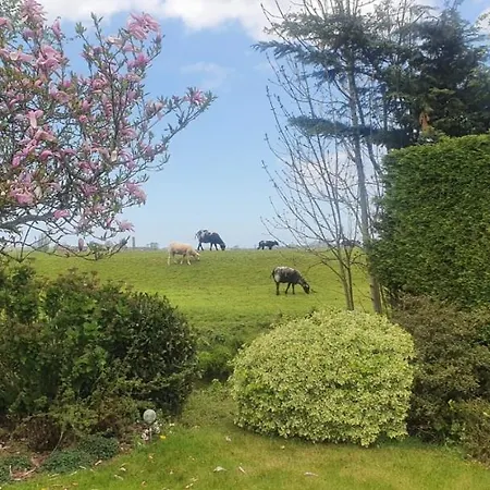 House 19 Relax Semesterbostad Warmond