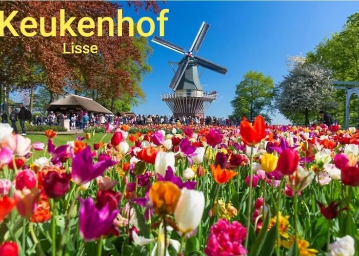 Сasa de vacaciones House 19 Relax